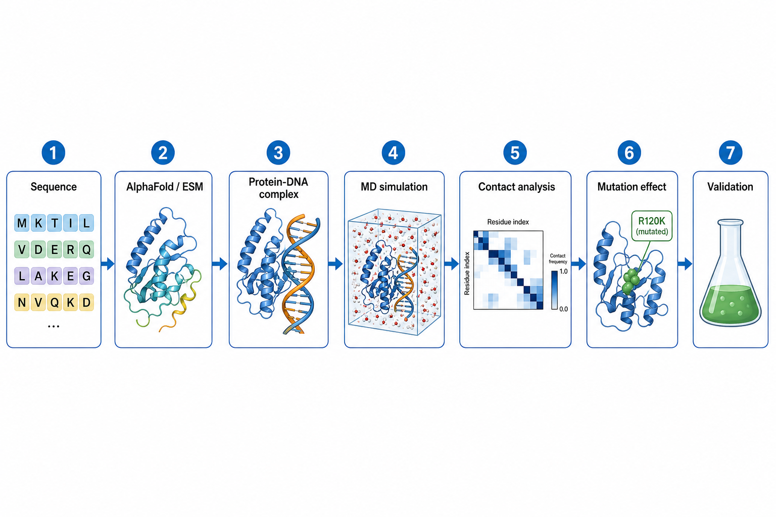 Workflow from sequence to mutation effect prediction