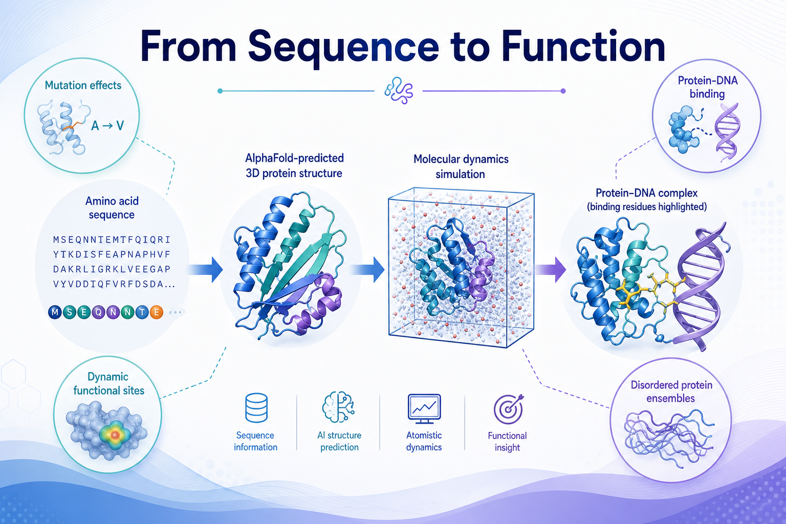 From Sequence to Function 總覽海報